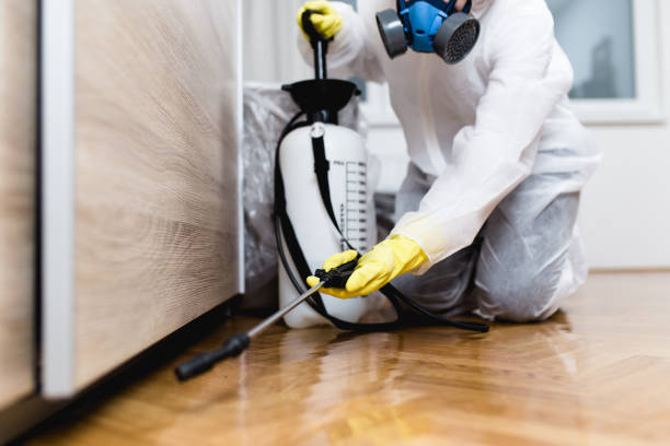 Best Wasp Removal Services  in Vandercook Lake, MI