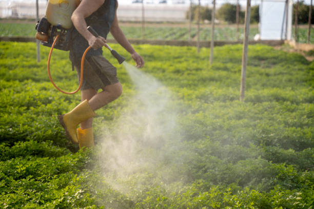 Best Pest Prevention Services  in Vandercook Lake, MI
