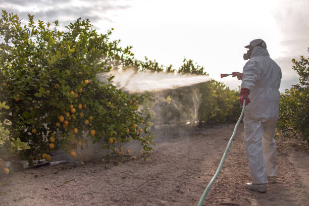 Best Local Pest Control Services  in Vandercook Lake, MI