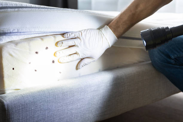 Best Bed Bug Extermination  in Vandercook Lake, MI