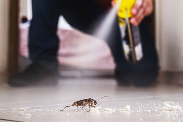 Best Emergency Pest Control  in Vandercook Lake, MI