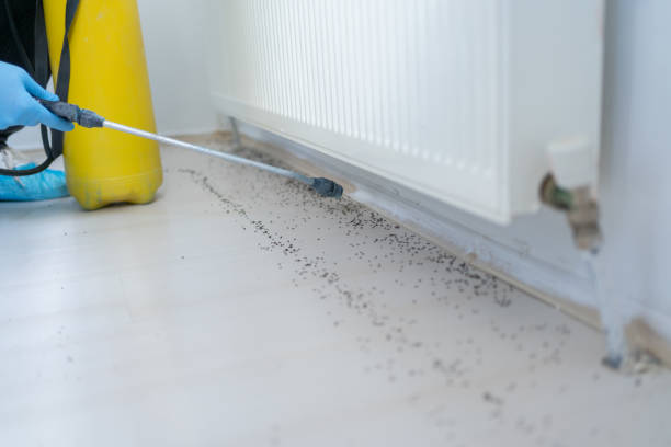 Best Pest Control Near Me  in Vandercook Lake, MI