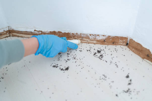 Best Affordable Pest Control Services  in Vandercook Lake, MI