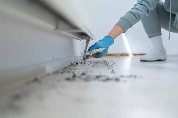 Reliable Vandercook Lake, MI Pest Control Solutions